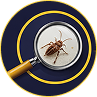 pest inspection cardiff identifying pest infestation entry points and damage